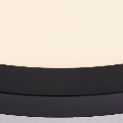 Brilliant - LED Stropní svítidlo TUCO LED/16W/230V pr. 25 cm černá