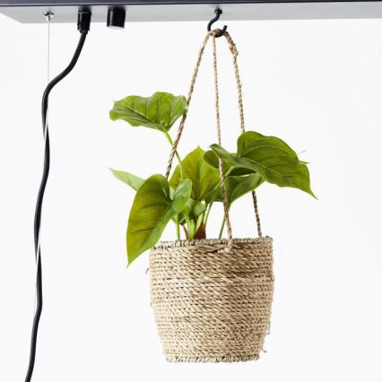 Brilliant - Lustr na lanku BANKWOOD 5xE27/28W/230V topol