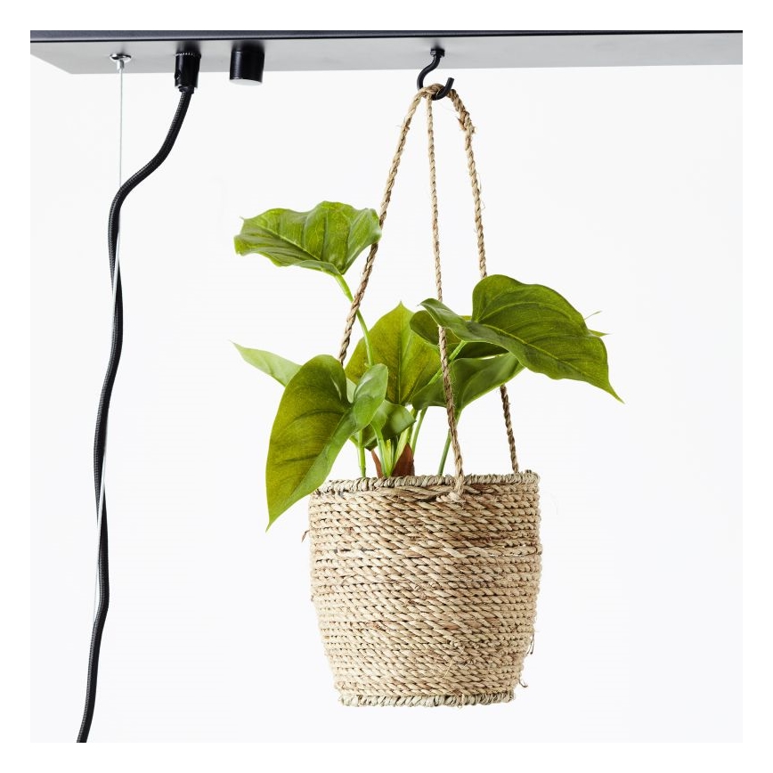 Brilliant - Lustr na lanku BANKWOOD 5xE27/28W/230V topol