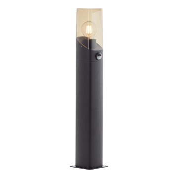Brilliant - Venkovní lampa se senzorem MINOU 1xE27/10W/230V IP44 černá/kouřová