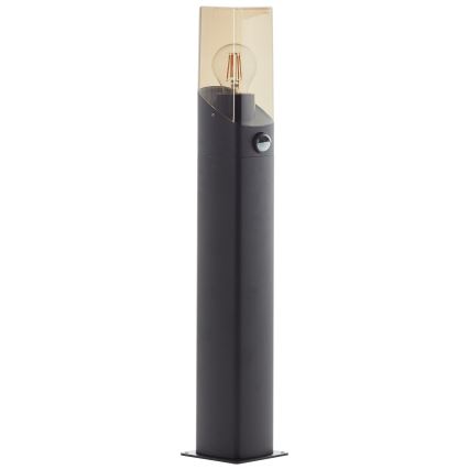 Brilliant - Venkovní lampa se senzorem MINOU 1xE27/10W/230V IP44 černá/kouřová