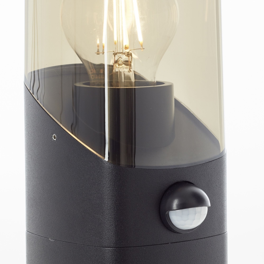 Brilliant - Venkovní lampa se senzorem MINOU 1xE27/10W/230V IP44 černá/kouřová
