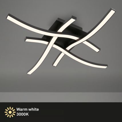 Brilo 3677-045 - LED Stropní svítidlo LED/14,4W/230V černá