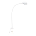 Brilo - LED Flexibilní stolní lampa s klipem TRASNA LED/7,5W/230V bílá