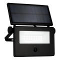 Brilo - LED Solární reflektor se senzorem LED/5W/5,5V IP54 1200 mAh