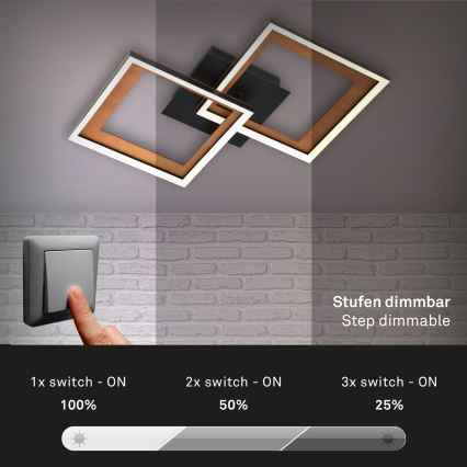 Brilo - LED Stmívatelný přisazený lustr FRAME 2xLED/11W/230V