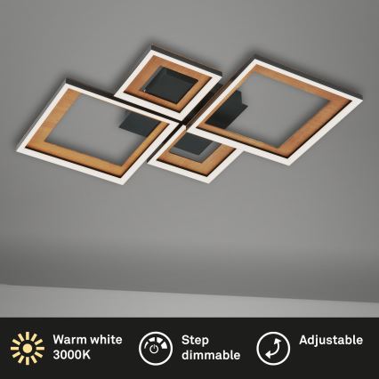 Brilo - LED Stmívatelný přisazený lustr FRAME LED/38W/230V