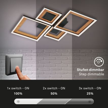 Brilo - LED Stmívatelný přisazený lustr FRAME LED/38W/230V