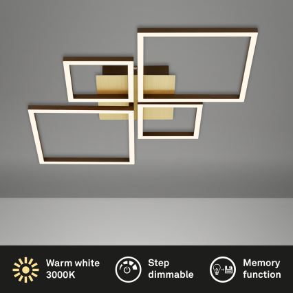 Brilo - LED Stmívatelný přisazený lustr FRAME LED/44W/230V