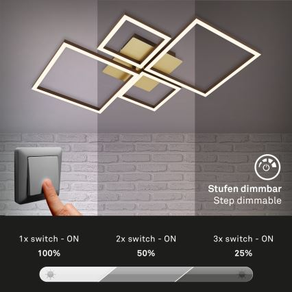 Brilo - LED Stmívatelný přisazený lustr FRAME LED/44W/230V