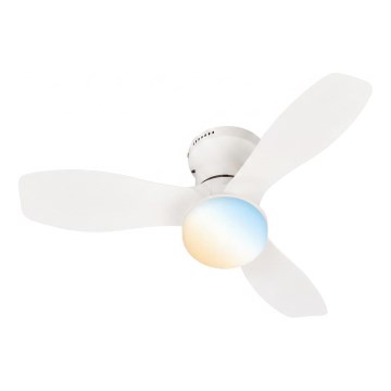 Brilo - LED Stmívatelný stropní ventilátor PAN LED/15W/230V 3000-6500K bílá + dálkové ovládání