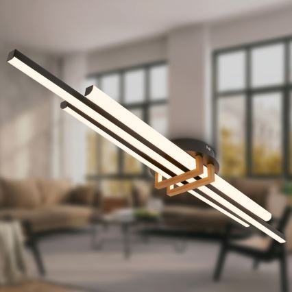 Brilo - LED Stropní svítidlo TINKA LED/30W/230V 3000K černá