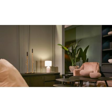 Brilo - Stolní lampa INO 1xE14/10W/230V hnědá