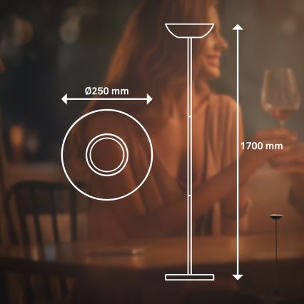 Briloner 1500015 - LED Stmívatelná stojací lampa ESTATE LED/8W/5V 4000 mAh černá