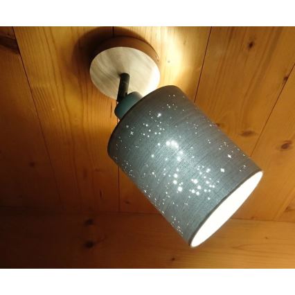 Briloner 2078-011 - Nástěnné bodové svítidlo SPOTLIGHT 1xE27/25W/230V béžová