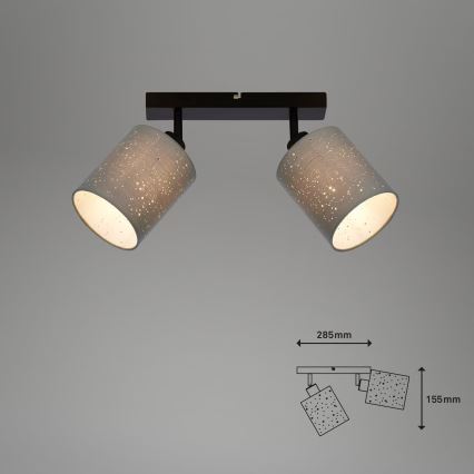Briloner 2078-024 - Bodové svítidlo SPOTLIGHT 2xE27/25W/230V šedá/černá