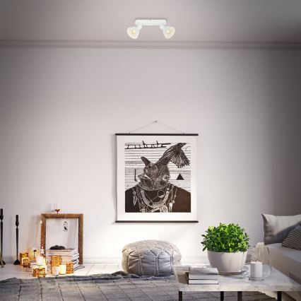 Briloner 2674-026 - Bodové svítidlo RETRO 2xE14/25W/230V bílá