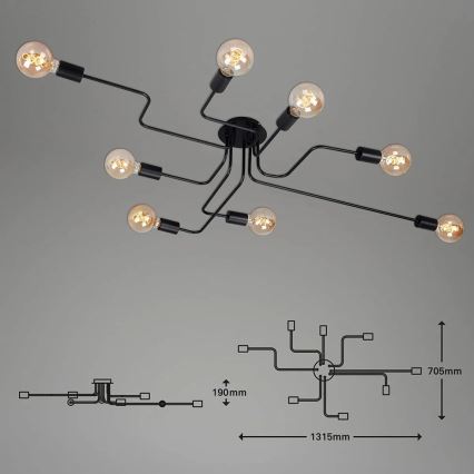 Briloner 2888-085 - Přisazený lustr FARETTO 8xE27/60W/230V černá