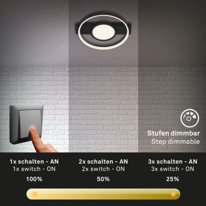 Briloner 3026-015 - LED Stmívatelné stropní svítidlo FRAME LED/33W/230V