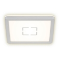 Briloner 3174-014 - LED Stropní svítidlo FREE LED/12W/230V 19x19 cm