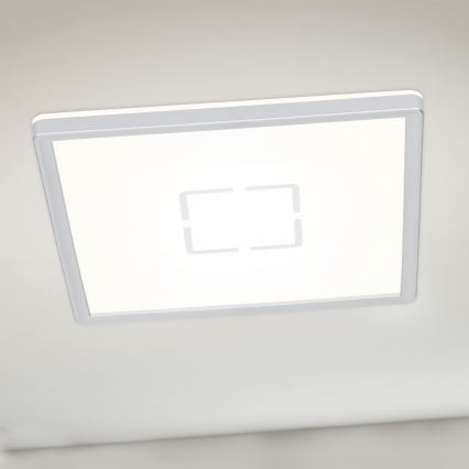 Briloner 3174-014 - LED Stropní svítidlo FREE LED/12W/230V 19x19 cm