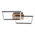 Briloner 3210-014 - LED Stmívatelné stropní svítidlo FRAME 2xLED/11W/230V hnědá
