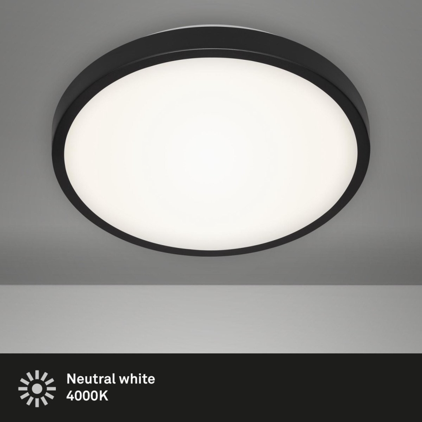 Briloner 3455-015 - LED Stropní svítidlo MANNY LED/12W/230V