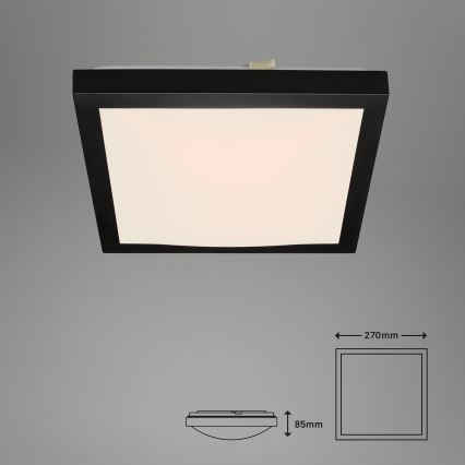 Briloner 3502-015 - LED Stropní svítidlo FLEDO LED/12W/230V