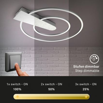 Briloner 3543-018 - LED Stmívatelné stropní svítidlo NICO LED/25W/230V matný chrom