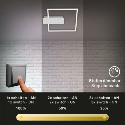 Briloner 3544-018 - LED Stmívatelné stropní svítidlo NICO LED/12W/230V matný chrom