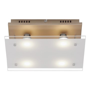 Briloner 3586-047 - LED Stropní svítidlo SMART GOLD 4xGU10/4W/230V