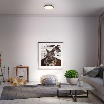 Briloner 3700-015 - LED Stropní svítidlo RUNA LED/16W/230V 3000K pr. 28 cm černá