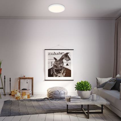 Briloner 3704-016 - LED Stmívatelné stropní svítidlo RUNA LED/22W/230V 2700-6500K bílá + dálkové ovládání