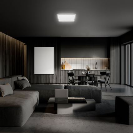 Briloner 3749-414 - LED Stropní svítidlo LINO LED/24W/230V matný chrom