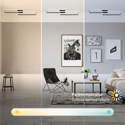Briloner 3761015 - LED Stmívatelné stropní svítidlo LED/45W/230V 2700-6500K černá + dálkové ovládání