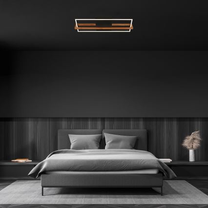 Briloner 3777-015 - LED Stropní svítidlo FRAME LED/21W/230V 3000K černá