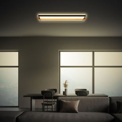 Briloner 3846015 - LED Stropní svítidlo REMSA LED/22W/230V 3000K 60,5x20 cm černá