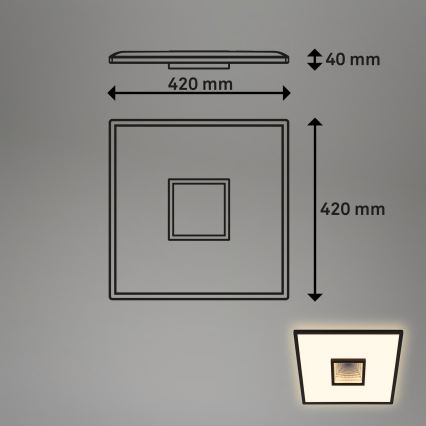 Briloner 3848015 - LED Stropní svítidlo TORO LED/18W/230V 42x42 cm černá