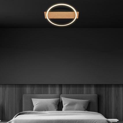 Briloner 3908-014 - LED Stropní svítidlo KADA LED/14W/230V pr. 30 cm černá/hnědá
