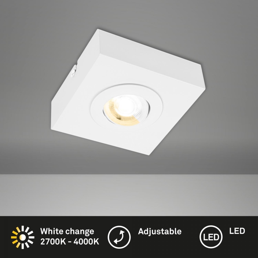 Briloner 3996016 - LED Bodové svítidlo CTS LED/4W/230V 2700/4000K bílá