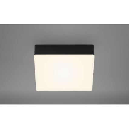 Briloner 7069-015 - LED Stropní svítidlo LED/11W/230V černá
