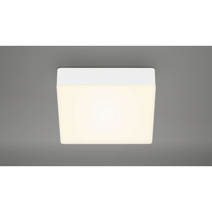 Briloner 7069-016 - LED Stropní svítidlo LED/11W/230V bílá