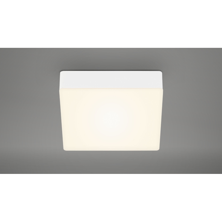 Briloner 7069-016 - LED Stropní svítidlo LED/11W/230V bílá
