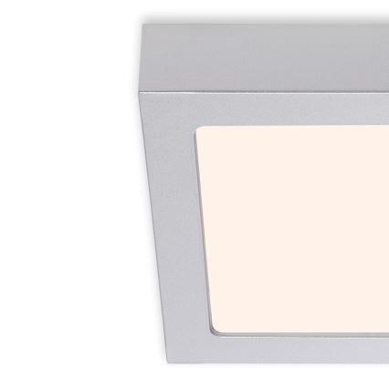 Briloner 7123-014 - LED Stropní svítidlo FIRE LED/12W/230V 3000K 17x17cm stříbrná