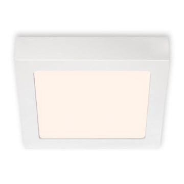 Briloner 7123-016 - LED Stropní svítidlo FIRE LED/12W/230V 3000K 17x17 cm bílá