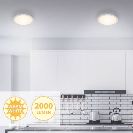 Briloner 7141-014 - LED Stropní svítidlo FIRE LED/21W/230V 3000K