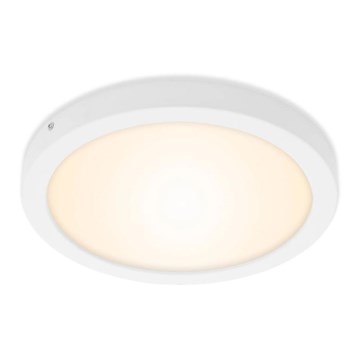 Briloner 7141-016 - LED Stropní svítidlo FIRE LED/21W/230V