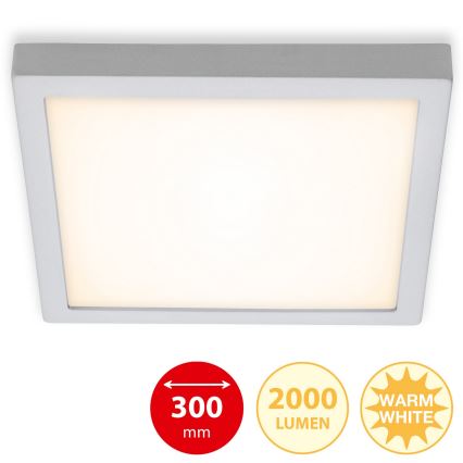 Briloner 7142-014 - LED Stropní svítidlo FIRE LED/21W/230V 3000K