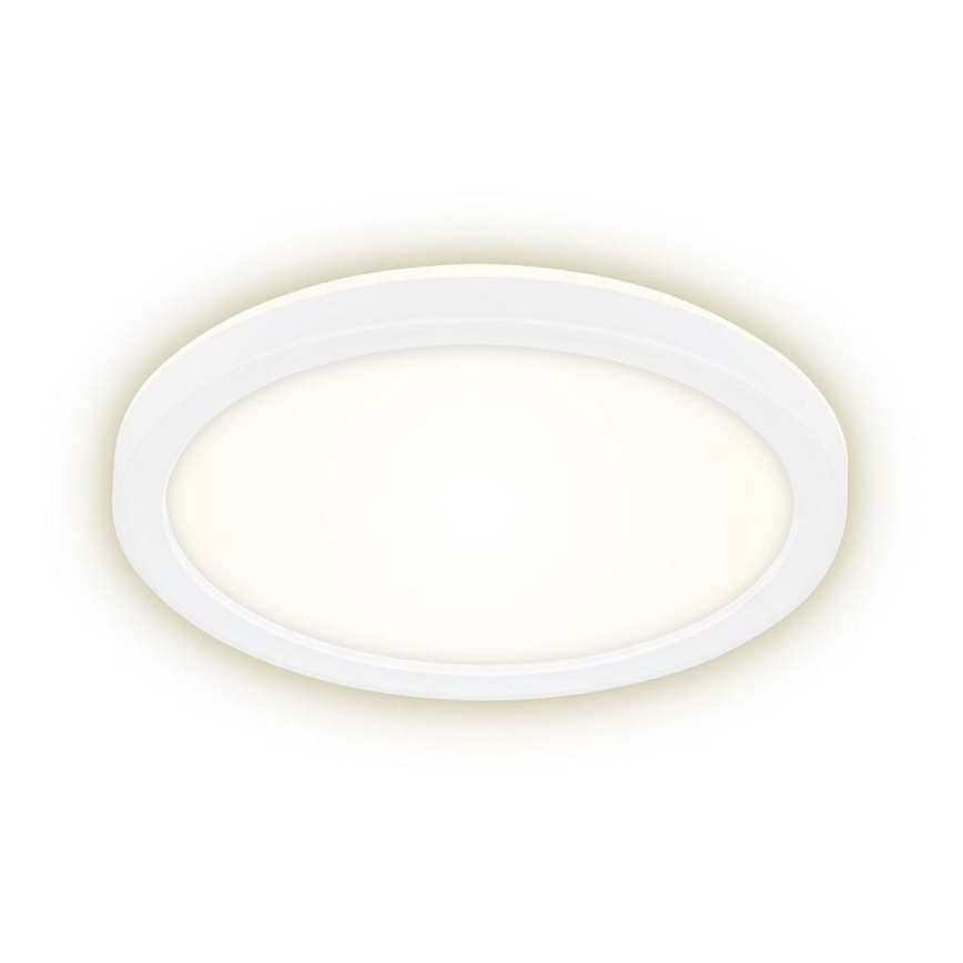 Briloner 7150-416 - LED Stropní svítidlo SLIM LED/12W/230V pr. 19 cm