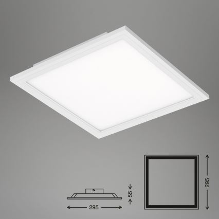 Briloner 7191-016 - LED Stropní svítidlo SIMPLE LED/12W/230V